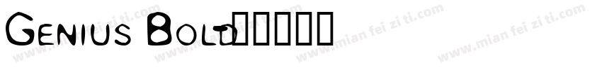 Genius Bold字体转换